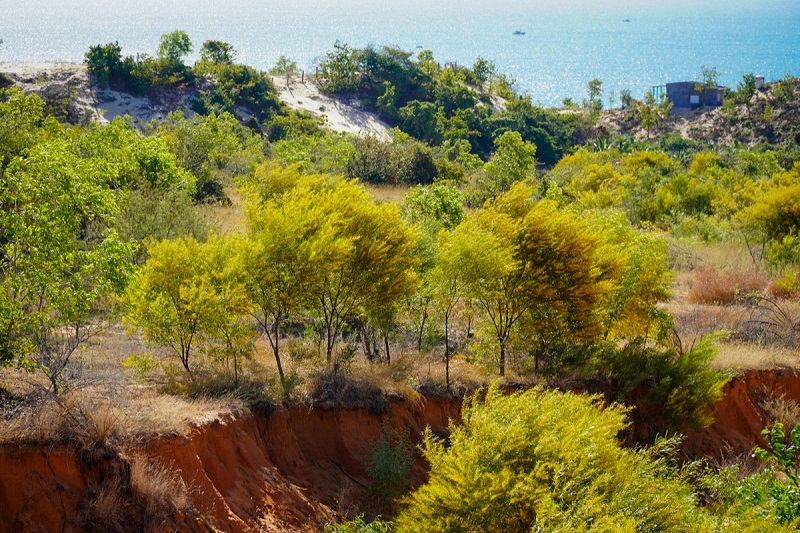 Ảnh slide minh họa 1